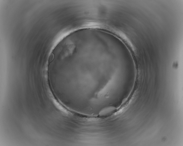 X0000091291421200708101237