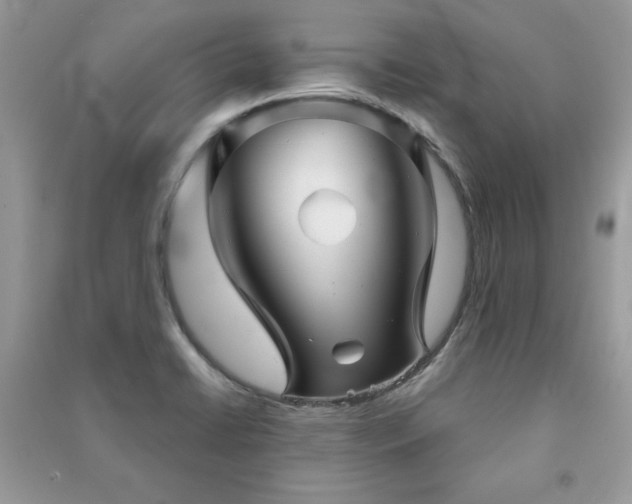 X0000091291422200708101237