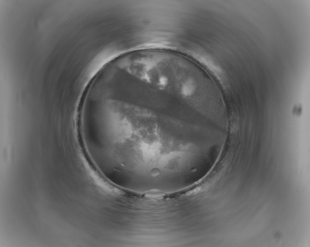 X0000091291423200708101237