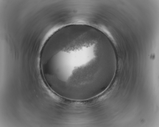 X0000091291424200708101237