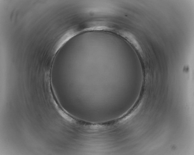 X0000091291425200708101237