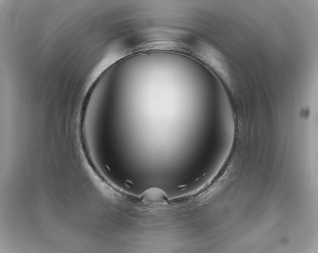 X0000091291426200708101237