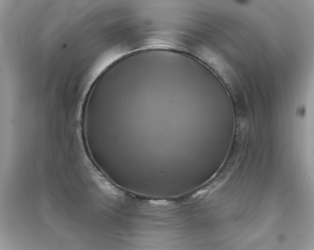 X0000091291427200708101237