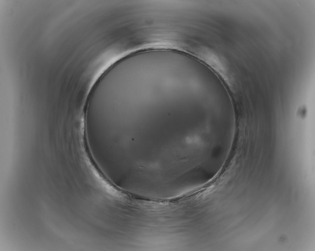 X0000091291428200708101237