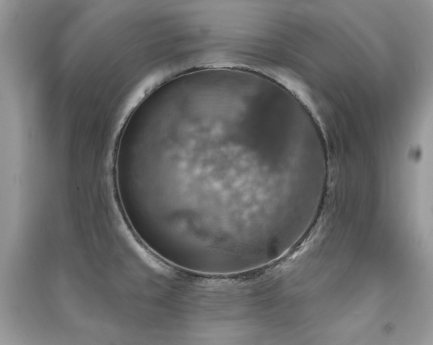 X0000091291429200708101237