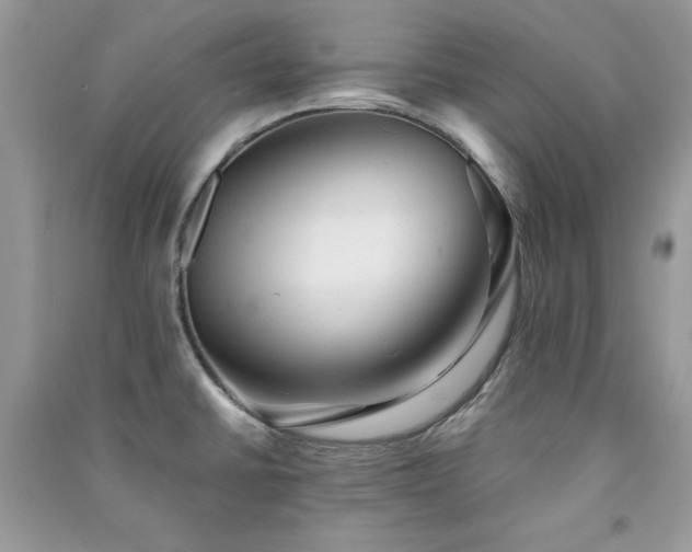 X0000091291430200708101237