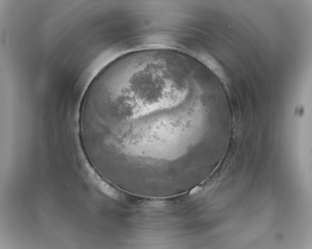 X0000091291431200708101237