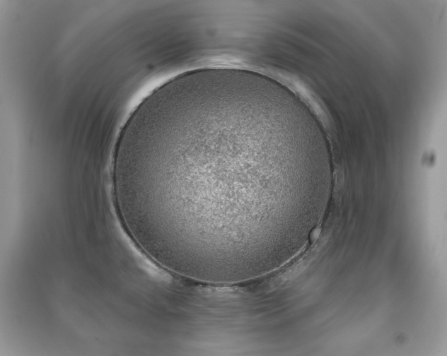 X0000091291432200708101237