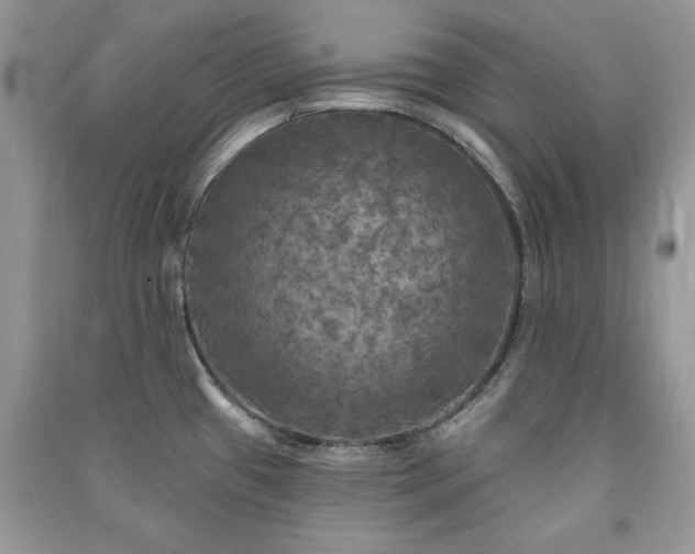 X0000091291433200708101237