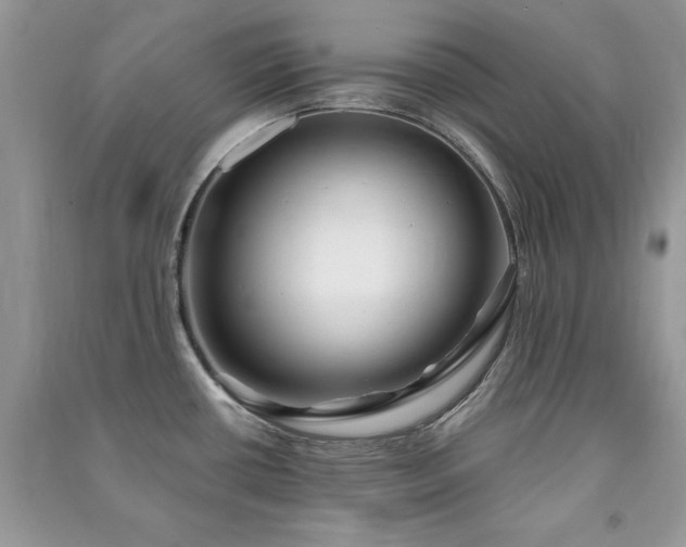 X0000091291434200708101237