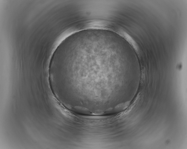 X0000091291435200708101237