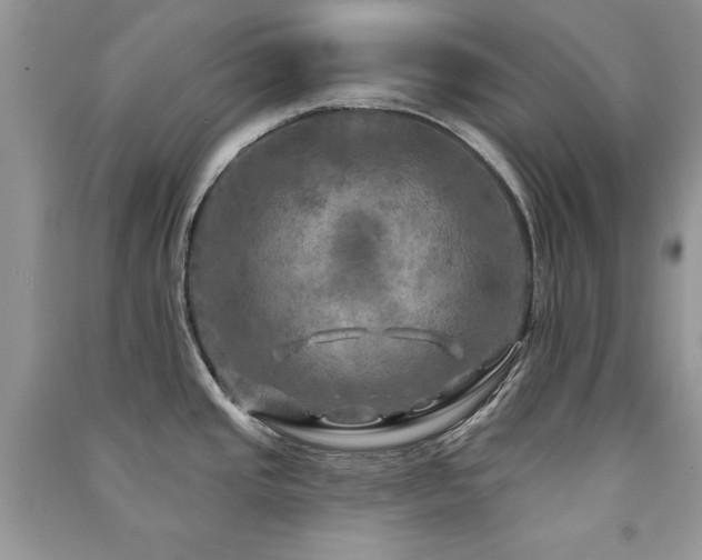 X0000091291437200708101237