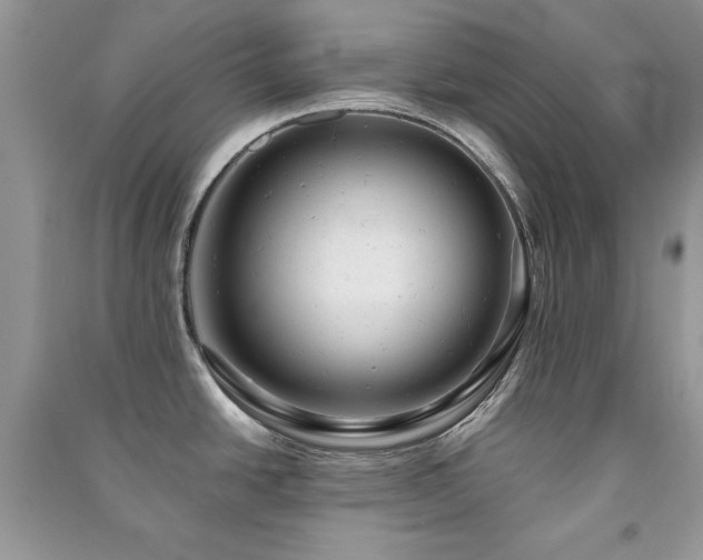 X0000091291438200708101237