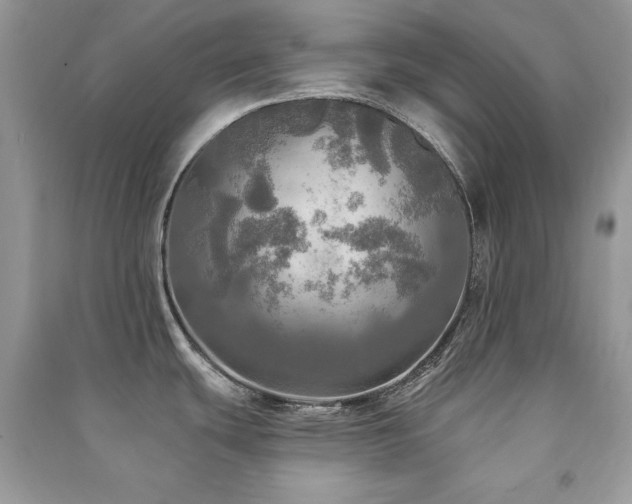 X0000091291439200708101237