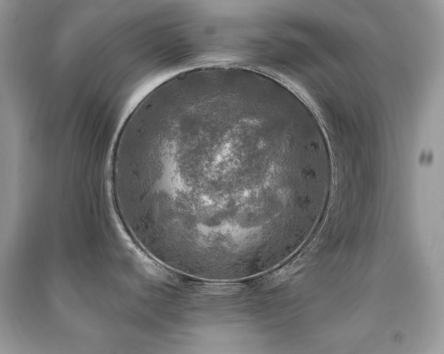X0000091291440200708101237