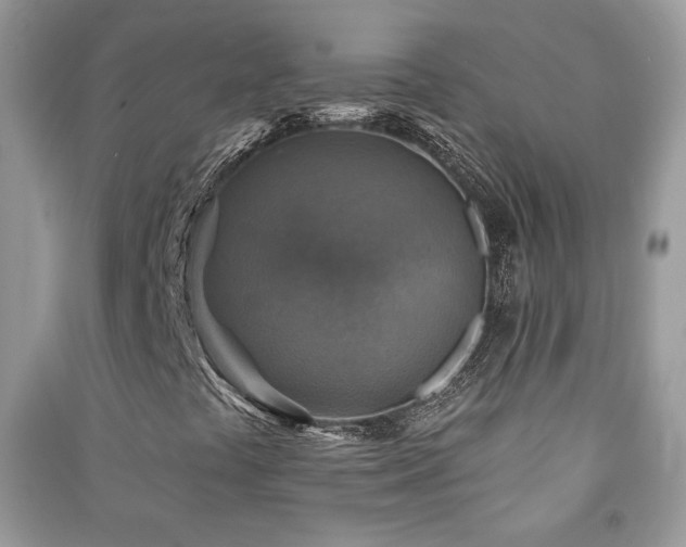 X0000091291441200708101236
