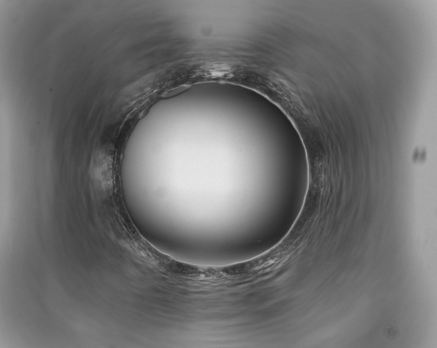 X0000091291442200708101236
