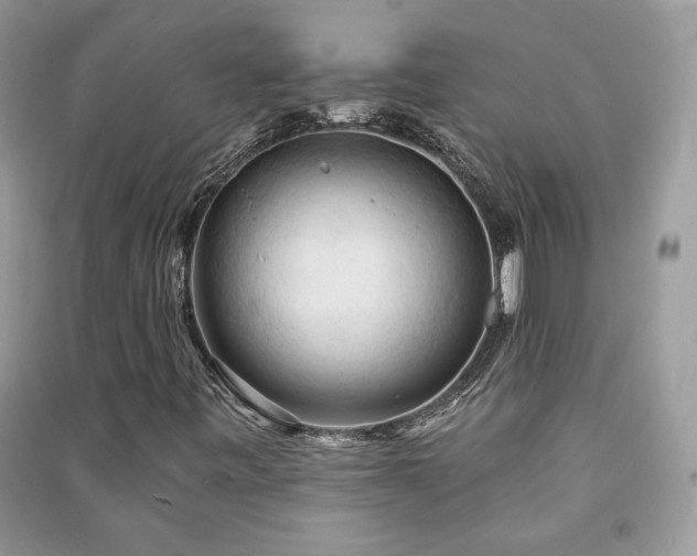 X0000091291443200708101236