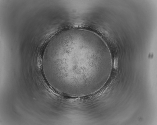 X0000091291444200708101236