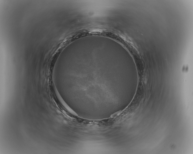 X0000091291445200708101236