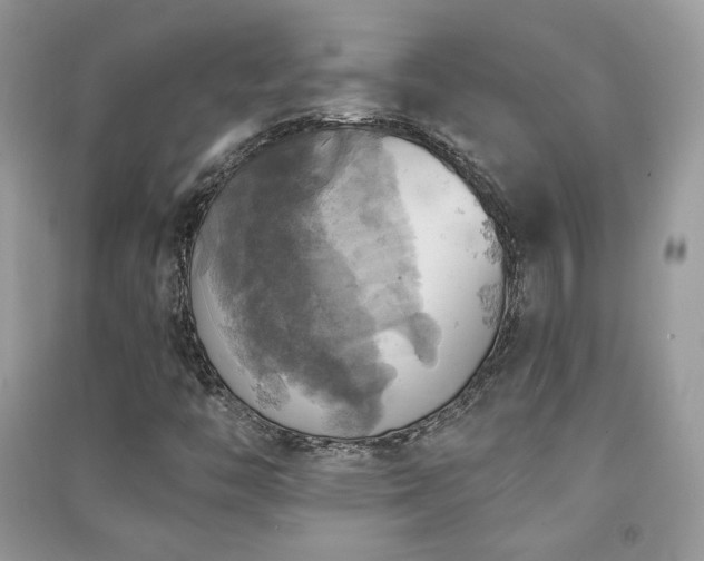X0000091291446200708101236