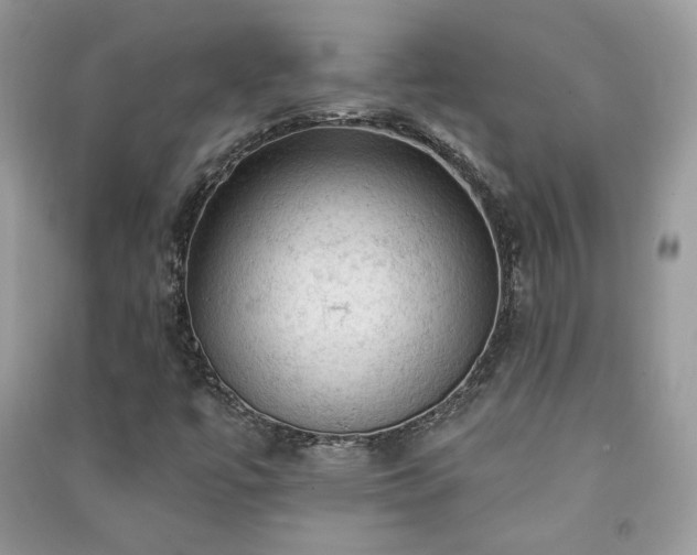 X0000091291447200708101236