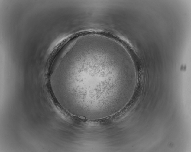 X0000091291448200708101236