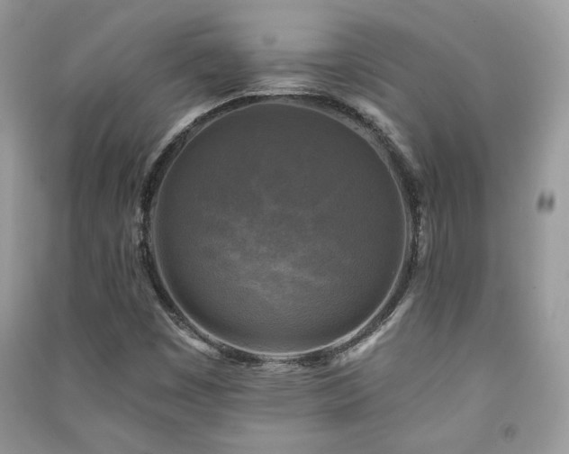 X0000091291449200708101236