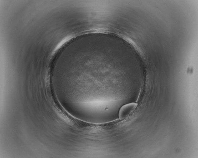 X0000091291450200708101236
