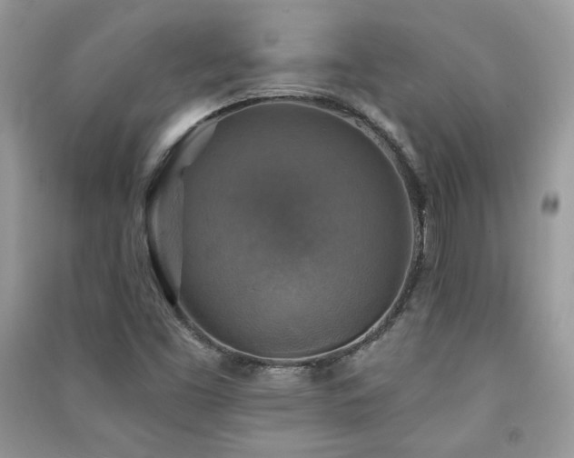 X0000091291453200708101236