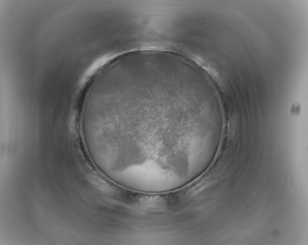 X0000091291454200708101236