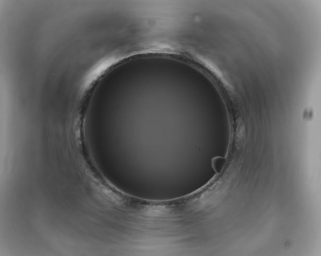X0000091291455200708101236