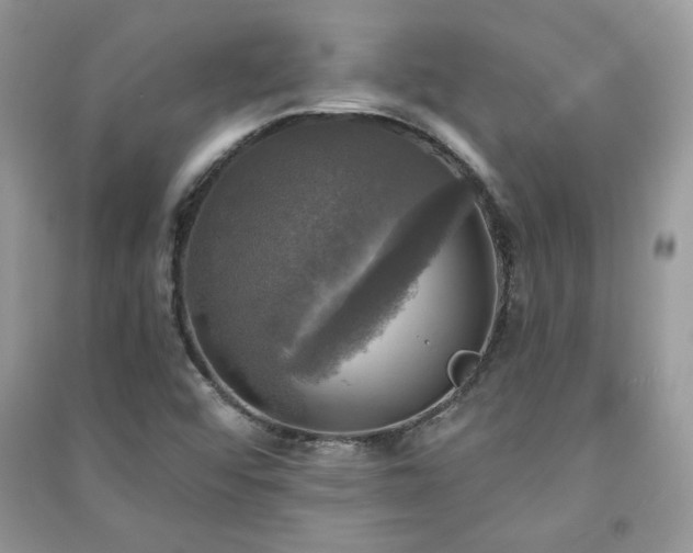 X0000091291456200708101236