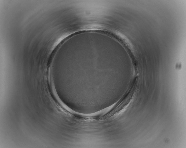X0000091291457200708101236