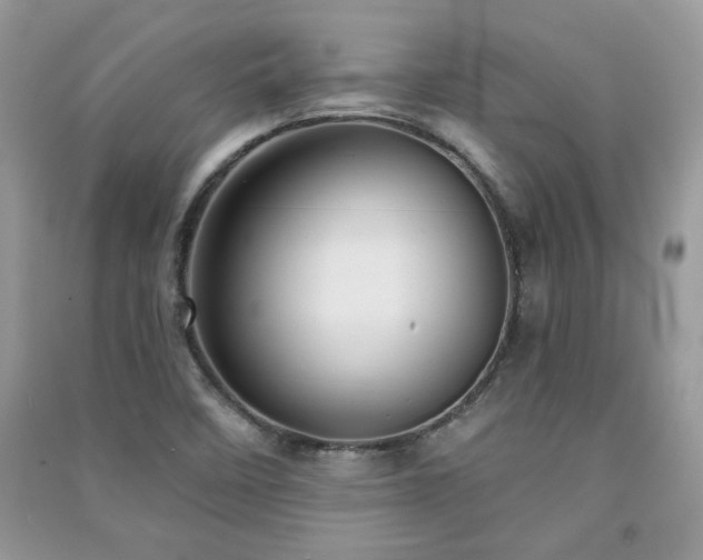 X0000091291458200708101236