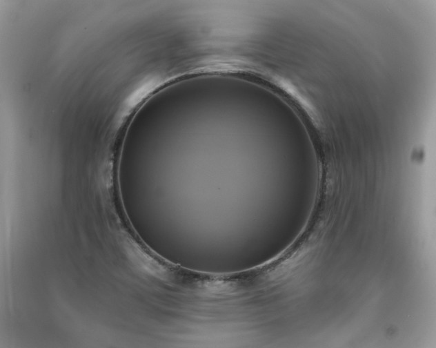 X0000091291459200708101236
