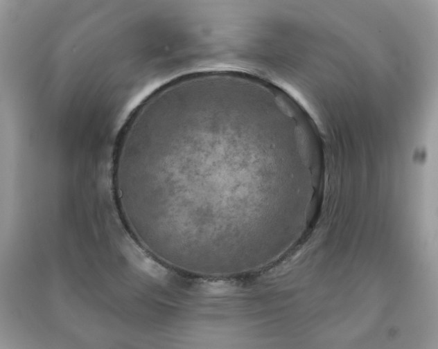 X0000091291460200708101236