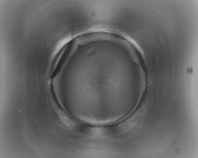 X0000091291461200708101236