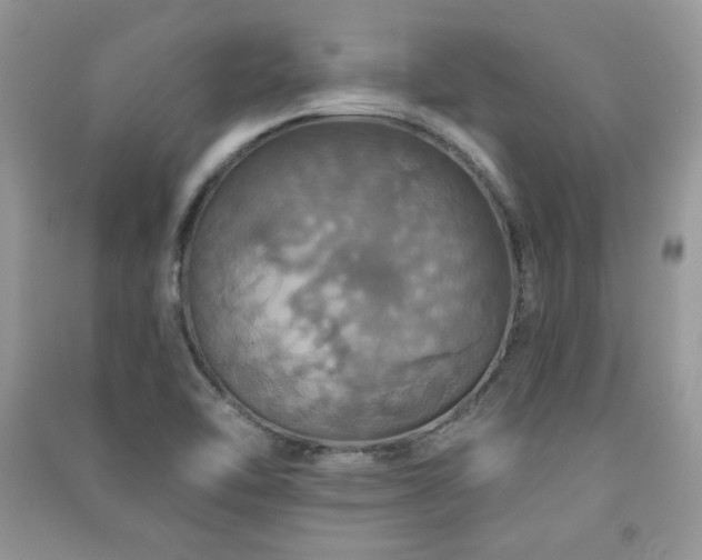 X0000091291462200708101236