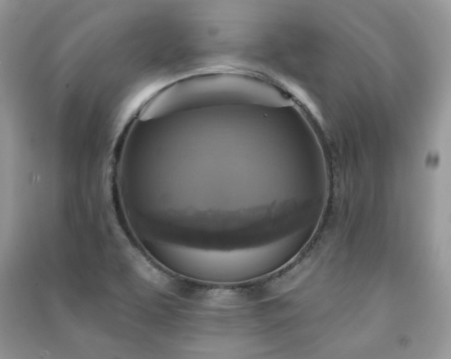 X0000091291463200708101236