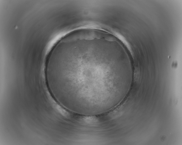 X0000091291464200708101236