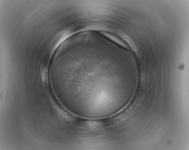 X0000091291465200708101236