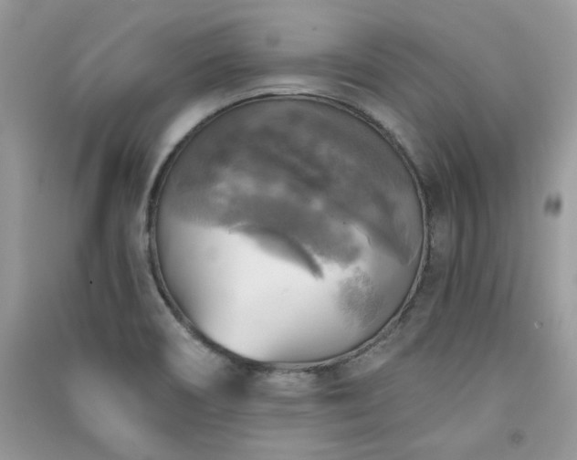 X0000091291466200708101236