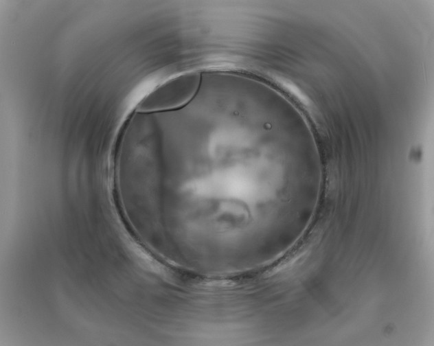 X0000091291467200708101236