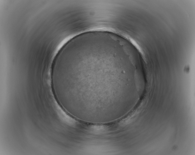 X0000091291468200708101236