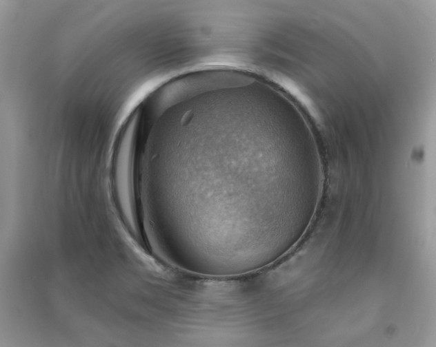 X0000091291469200708101236