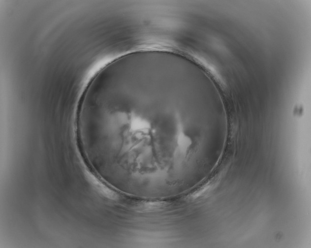 X0000091291471200708101236