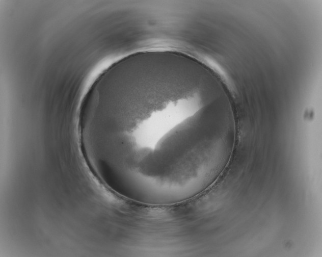 X0000091291472200708101236