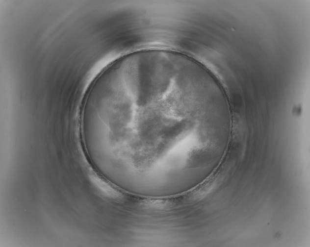 X0000091291474200708101236