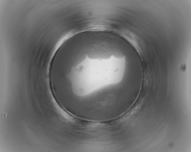 X0000091291475200708101236